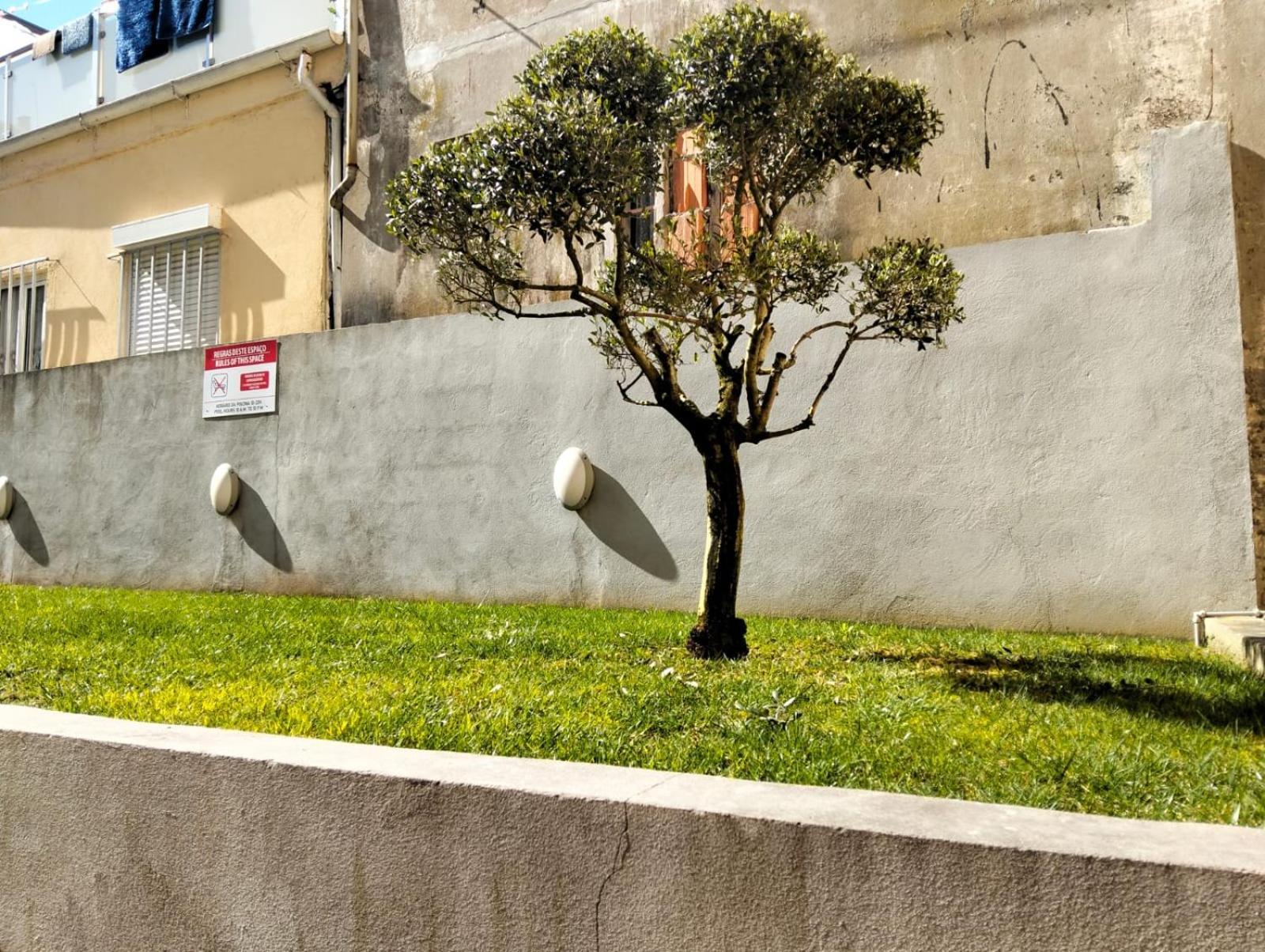 Apartment Douro By Your Side With Pool Vila Nova de Gaia